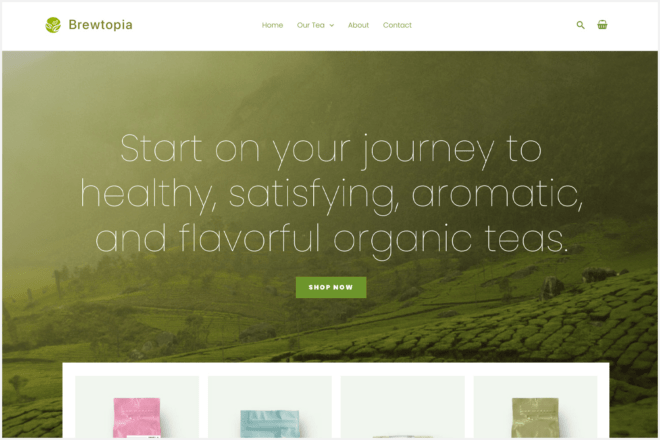 Ayurvedic Products Theme